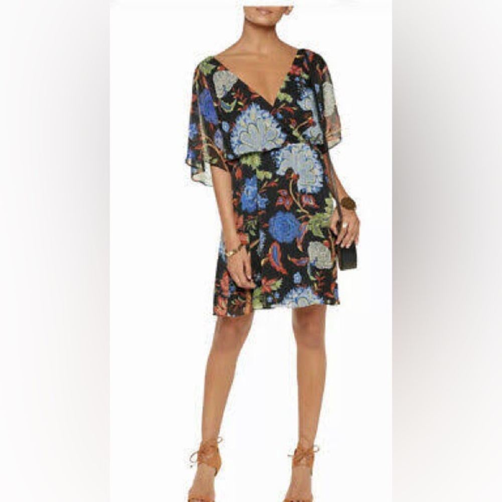 Alice & Olivia Cay Alder Floral Dress Size 2 — excellent-used & just dry-cleaned